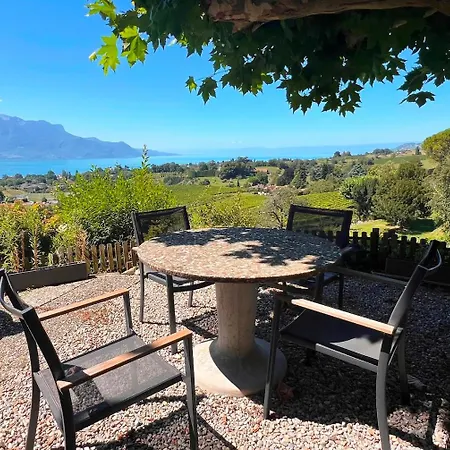 La Vigneronne, Chailly-montreux 公寓