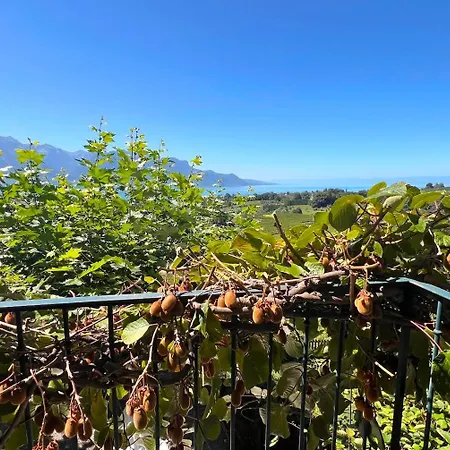 公寓 La Vigneronne, Chailly-montreux 蒙特勒