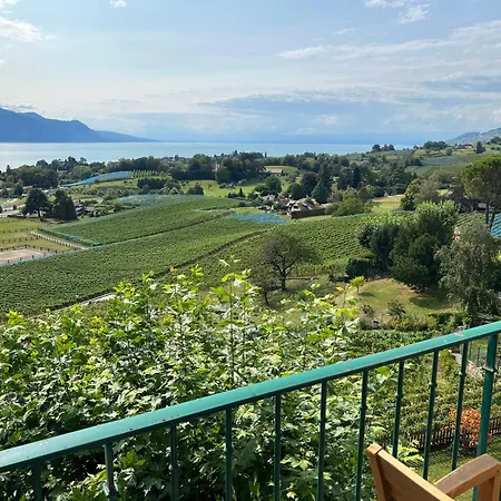 La Vigneronne, Chailly-montreux * Montreux