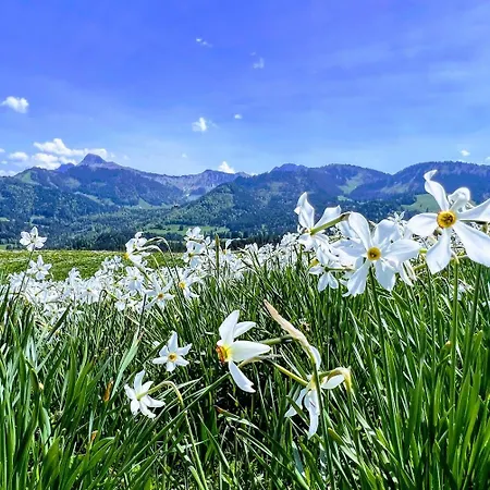 La Vigneronne, Chailly-montreux アパート