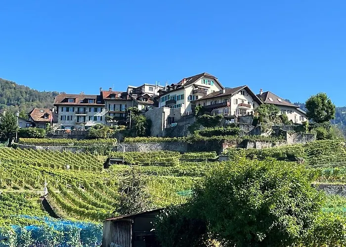 La Vigneronne, Chailly-montreux