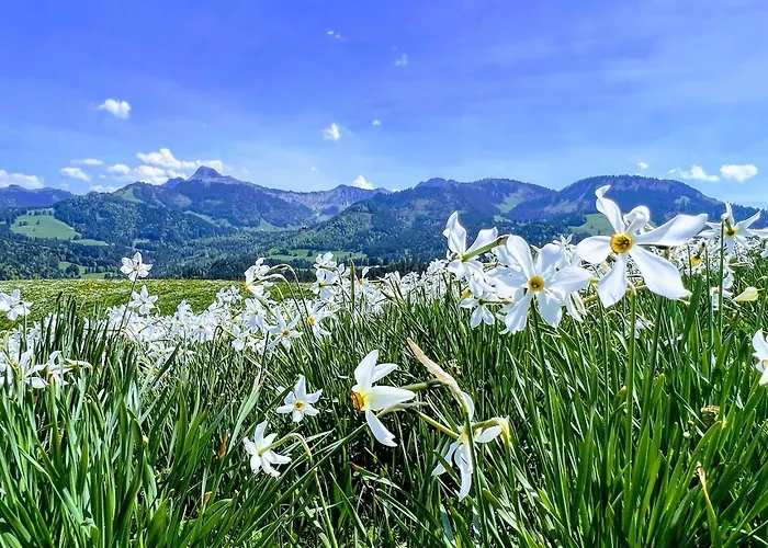 La Vigneronne, Chailly-montreux Appartement