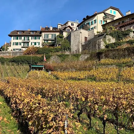 公寓 La Vigneronne, Chailly-montreux 蒙特勒